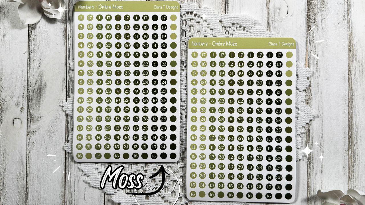 Ombre Candy Coloured Numbers Sticker Sheet