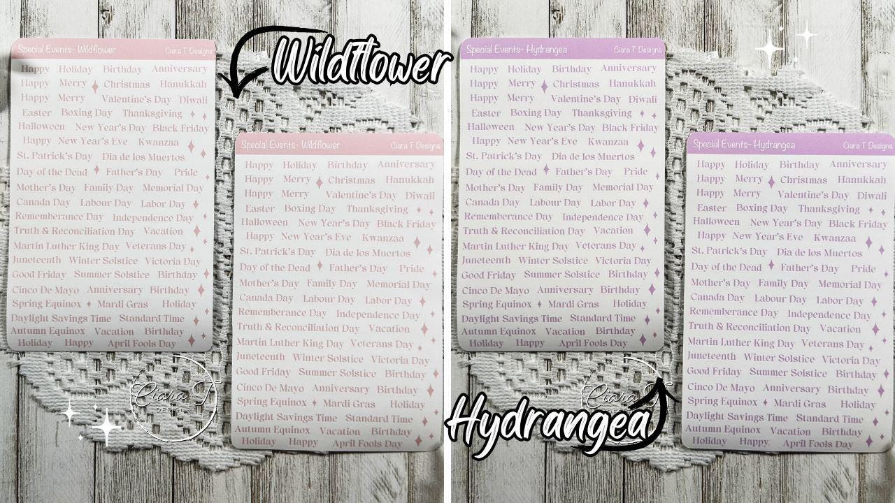 Large Candy Coloured Special Events Sticker Sheet