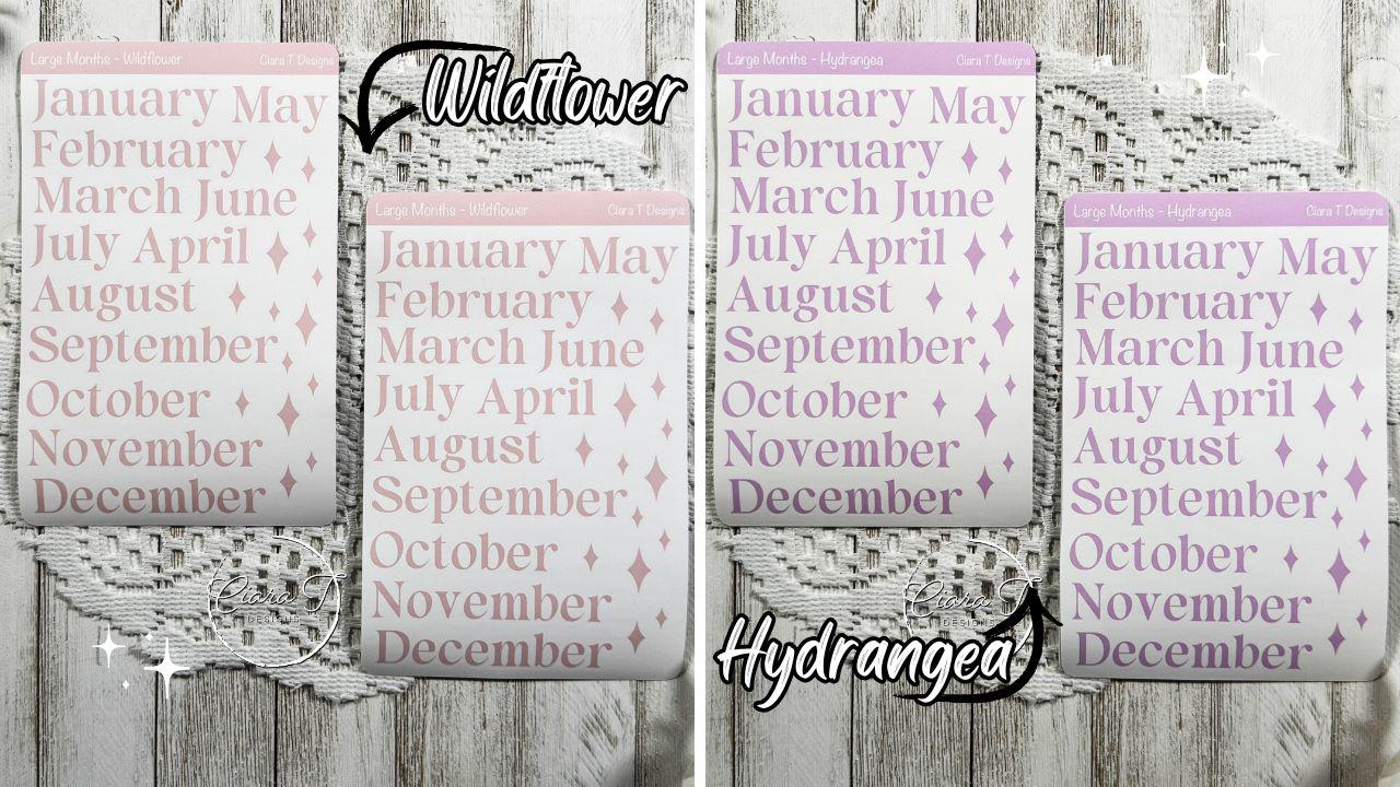 Large Candy Coloured Months Sticker Sheet