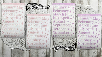 Large Candy Coloured Months Sticker Sheet