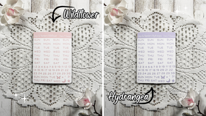 Candy Days & Numbers Medium Sticker Sheet